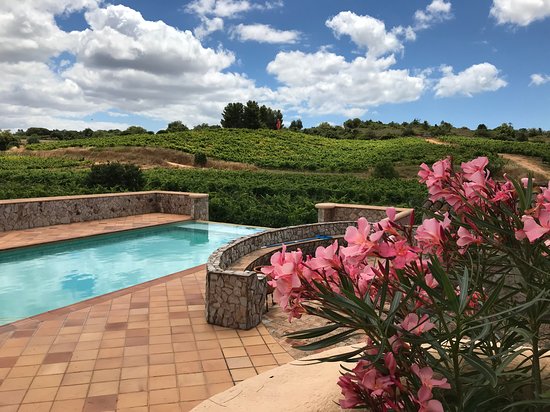quinta-dos-vales-wine_orig